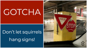 Don't Let Squirrels Hang Signs - Gotcha moments July 2018